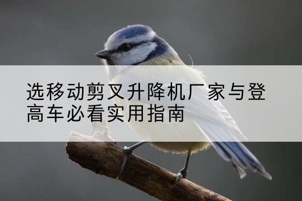 东兰电动升降机厂家-选移动剪叉升降机厂家与登高车必看实用指南