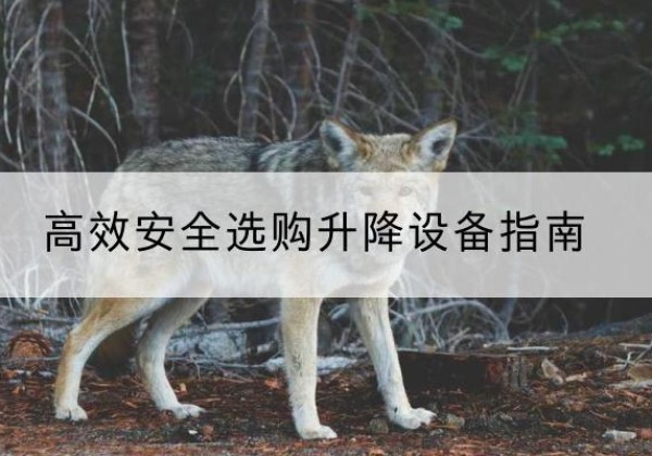 东兰升降货梯厂家推荐-*安全选购升降设备指南
