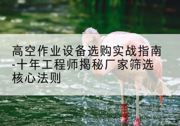 东兰剪叉式升降机厂家-高空作业设备选购实战指南-十年工程师揭秘厂家筛选核心法则