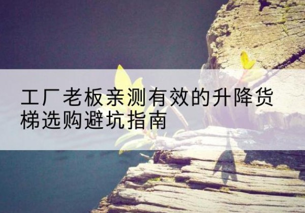 东兰升降货梯怎么选-工厂老板亲测有效的升降货梯选购避坑指南